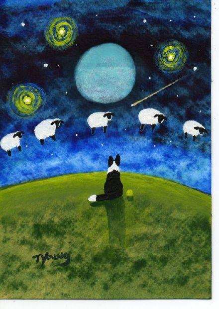 ����һ��Ԓ���Ժ���������������